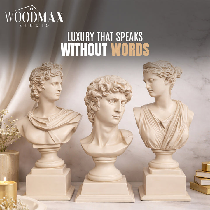 Luxury Greek Sculpture Set 3 Resin Busts Inspired by David, Apollo & Venus | Elegant Home Decor