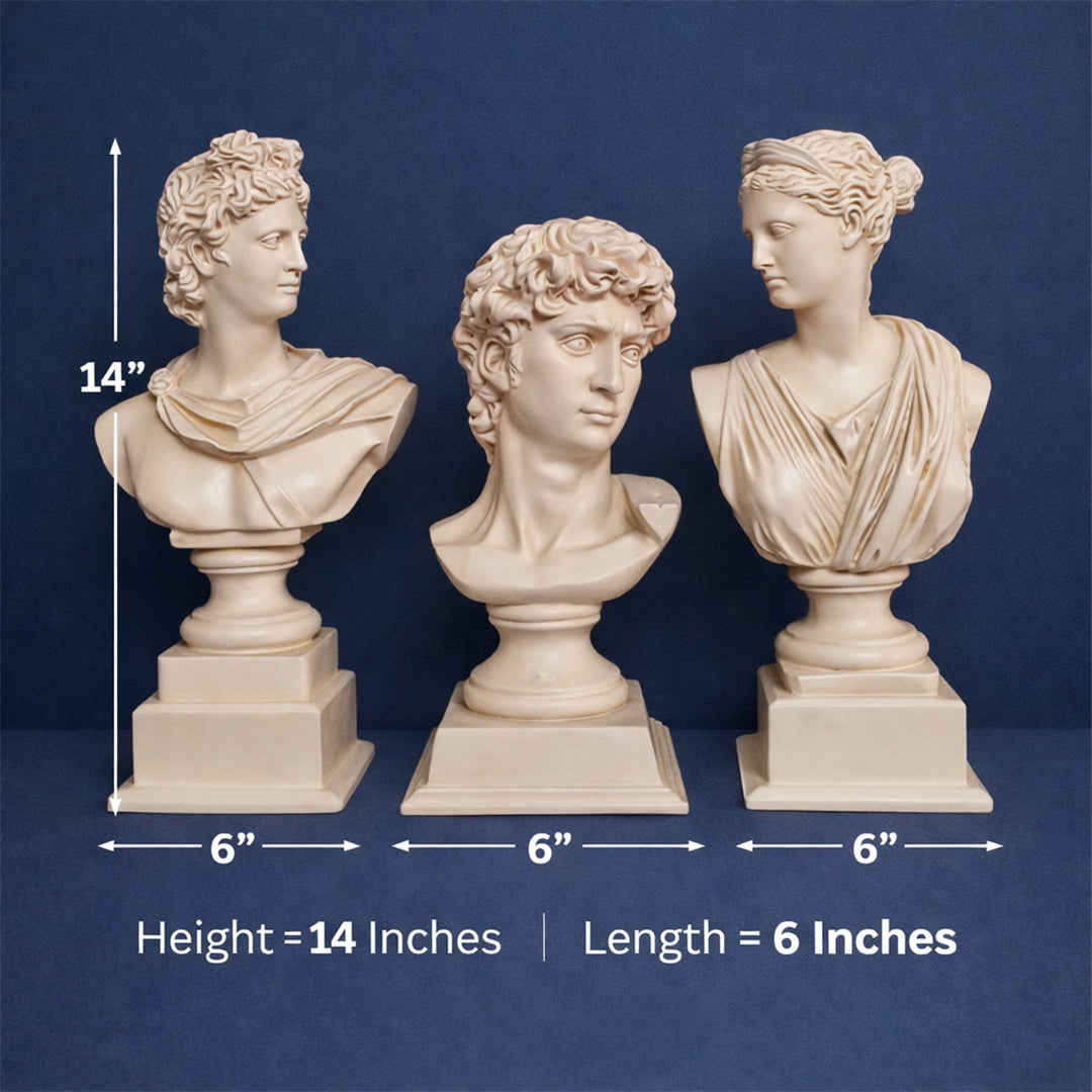 Luxury Greek Sculpture Set 3 Resin Busts Inspired by David, Apollo & Venus | Elegant Home Decor